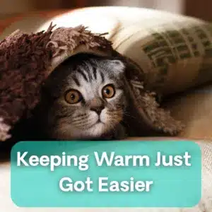 A gray tabby cat peeks out from under a brown blanket. Text overlay reads, Keeping Warm Just Got Easier..
